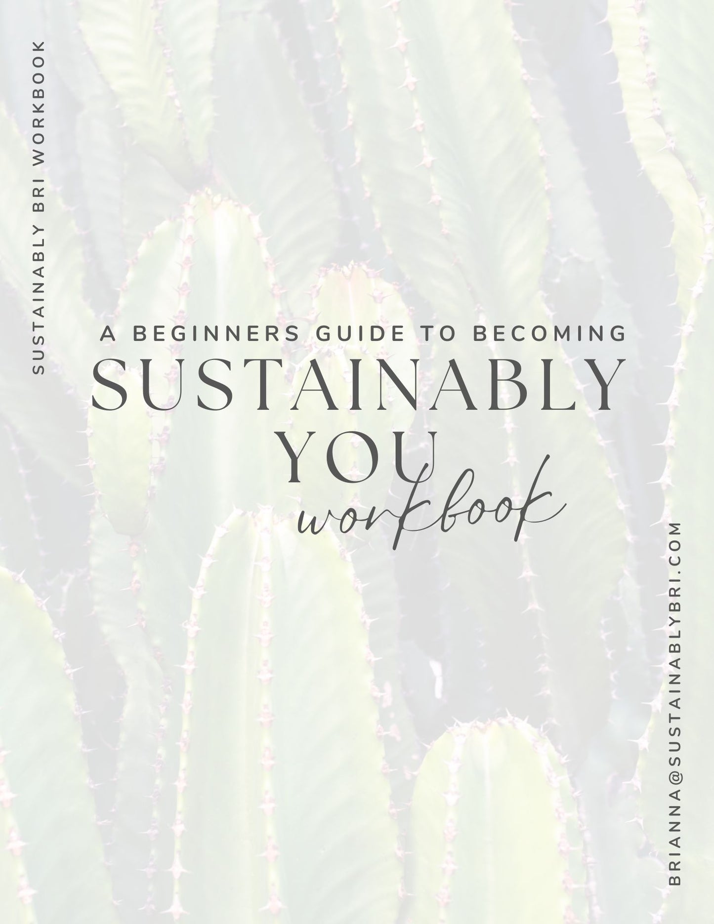 A Beginners Guide To Becoming Sustainably You - Workbook
